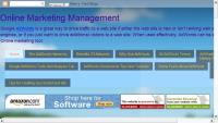 Online Marketing Management