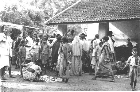 Shirali Fish Market