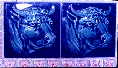 Bull Emblems