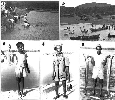 Fishermen of Uttara Kannada 