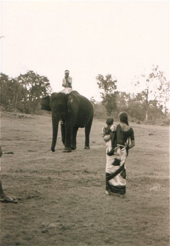 Encounter with an Elephant