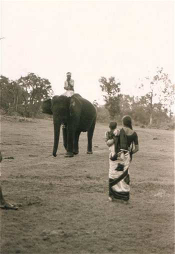Encounter with an Elephant
