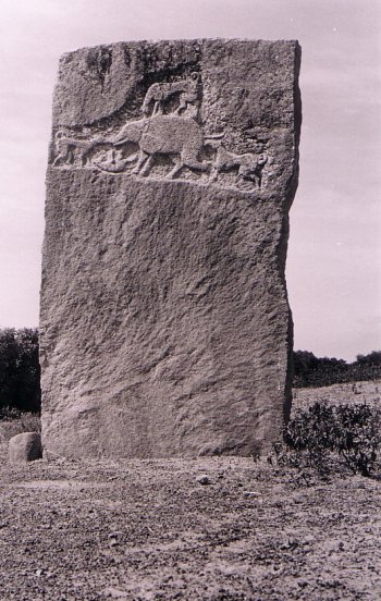 Memorial for a Dog