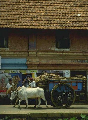 Bullock Carts of India