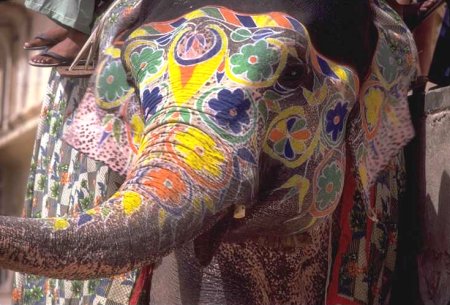 Painted Elephant