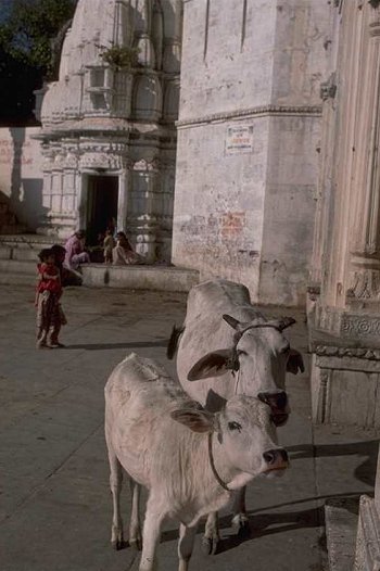 Pictures of India