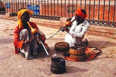 Snake Charmers of India 