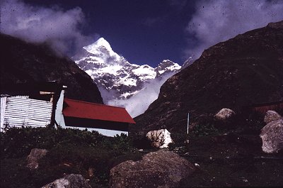 Himalayan Vista