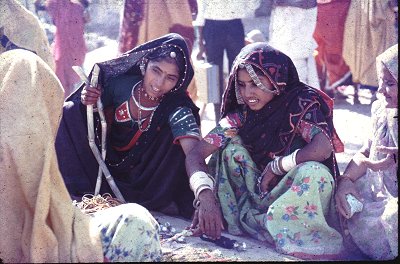 Pushkar fair