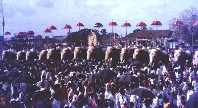 Pooram Festival