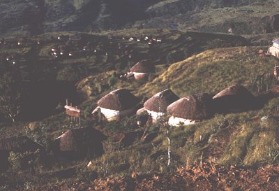 Assamese Village