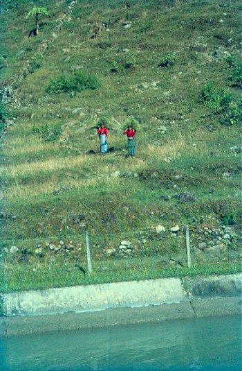 Life in the Himalayas