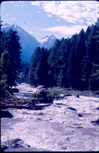 Himalayan Vista