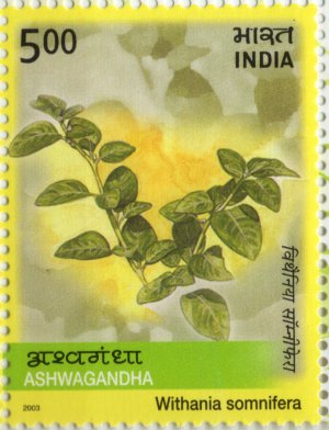 Medicianal Plants of India