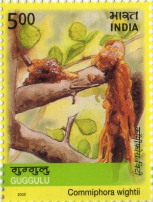 Medicinal Plants of India