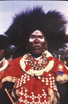 The Helava Community The Helava Community