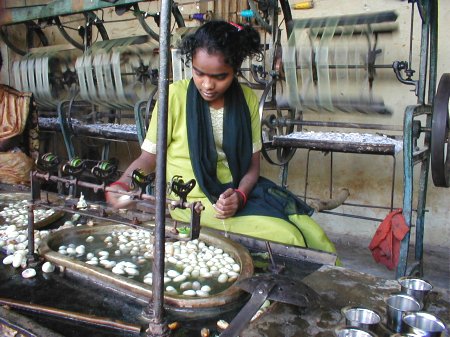 Silk Industry in India