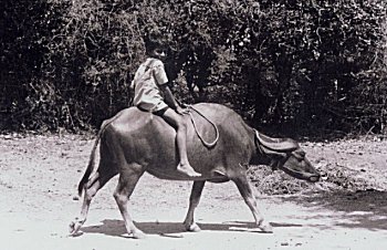 Village Life in India