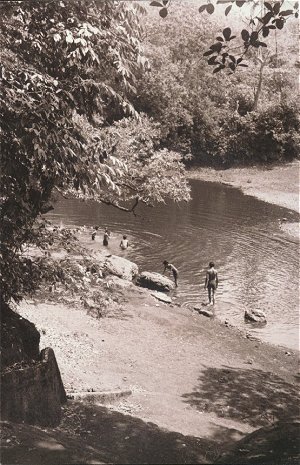 Bathing in a Pond