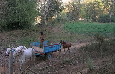 Glimpses of India