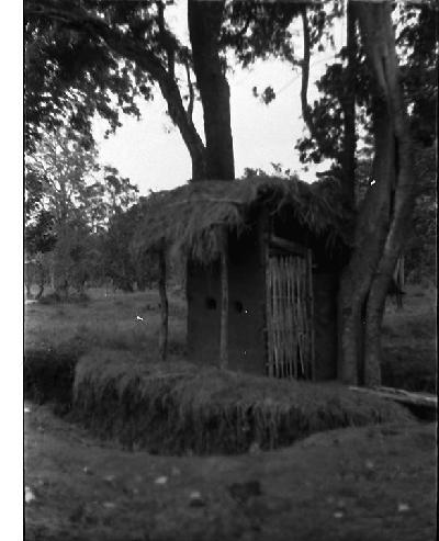 Thatched Hut 