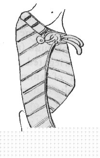 Mini Sari with a Belt 