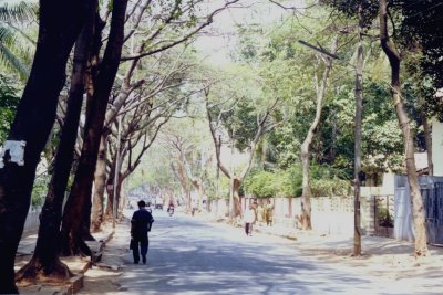 Malleswaram Neighborhood  