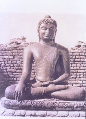 Meditating Buddha   