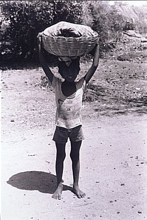 Village Life in India