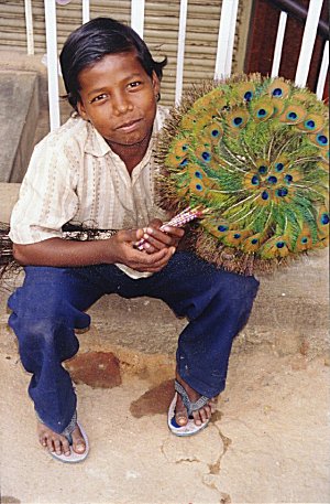 Boy Selling Peacock-feather fans 