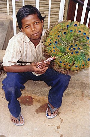 Boy Selling Peacock-feather fans  