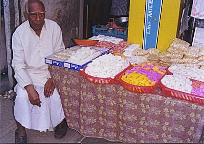 Sankranti Festival Celebration  