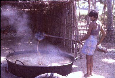 Making of Home-made Sugar