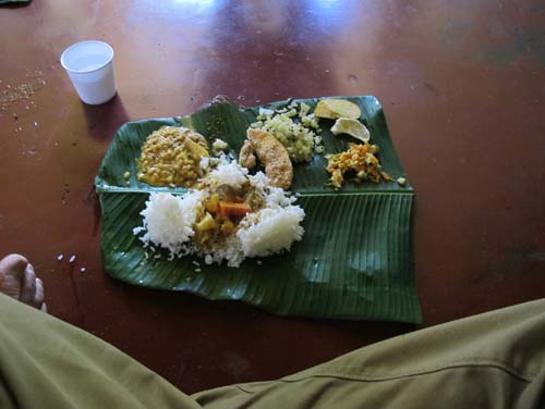 Vegetarian Meals for Hindu Rituals 