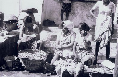 A Goan Fish Market