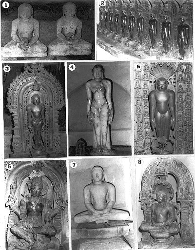 Jain Monuments of Haduvalli