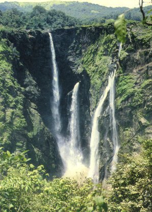 The Jog Falls, Karnataka