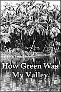 How Green Was My Valley