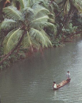 Sailing in Sharavati