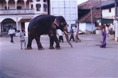 Temple Town of Udupi