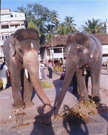 Temple Town of Udupi