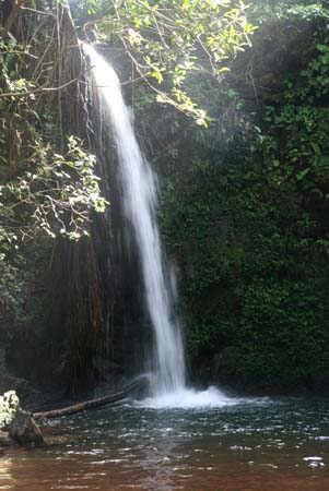 Waterfalls of North Kanara