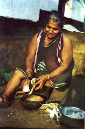 Blouseless Konkani Woman at Work