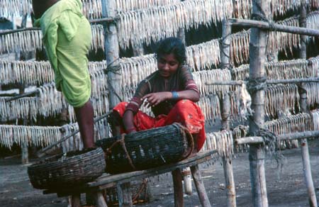 Fishermen of India 