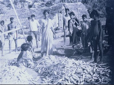 Fishermen of India 