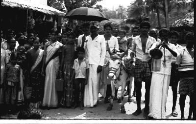 List Peoplewedding Party on Wedding Party Of Kadu Kuruba Tribe