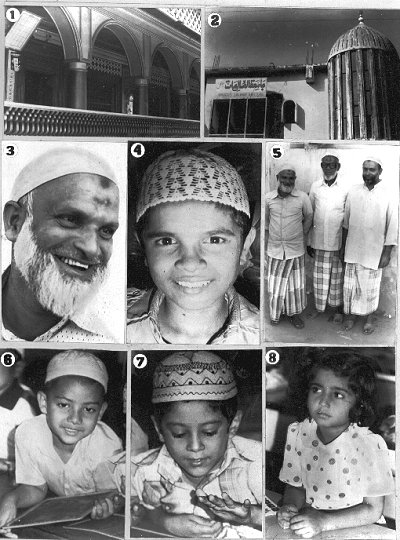Muslims in India 