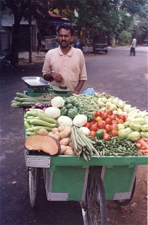 Street Vendors of India