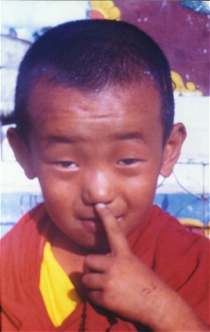 Tibetan Boy
