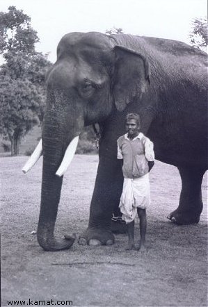 Elephant Trainer and his Pet